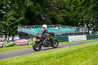 Lower Group Silver_Grey Bikes